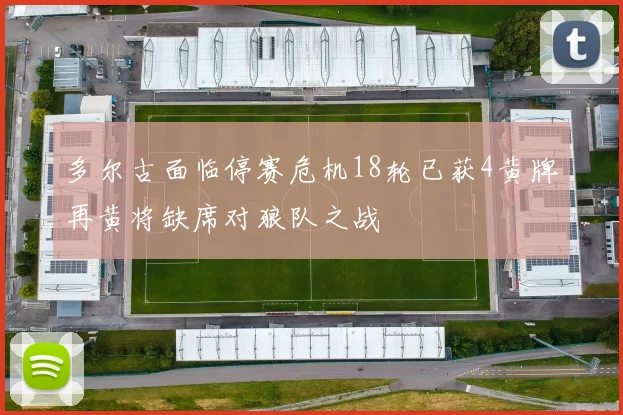 多尔古面临停赛危机18轮已获4黄牌再黄将缺席对狼队之战
