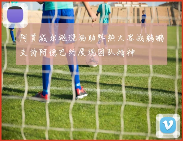 阿贾威尔逊现场助阵热火客战鹈鹕支持阿德巴约展现团队精神